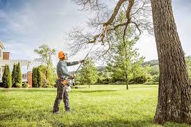 Seasonal Cleanup (Spring/Fall) in Lordstown, OH